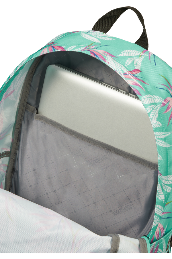 American Tourister Urban Groove Lifestyle Backpack  Bloom