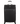 Aerospin L Large check-in